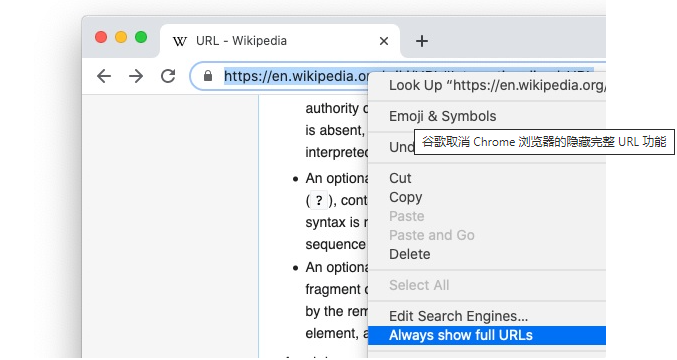 chrome谷歌浏览器终于又可以看到完整URL功能啦！