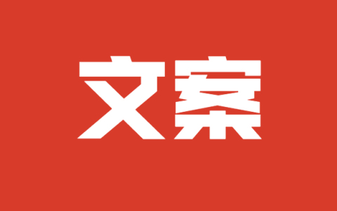 什么是SCQOR理论？